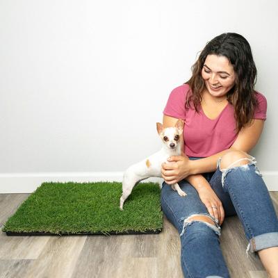 Show full view: Gotta Go Grass the Natural Relief with interlocking Tray Dog Potty Pads, 16-in x 24-in, 2 count slide 4 of 8