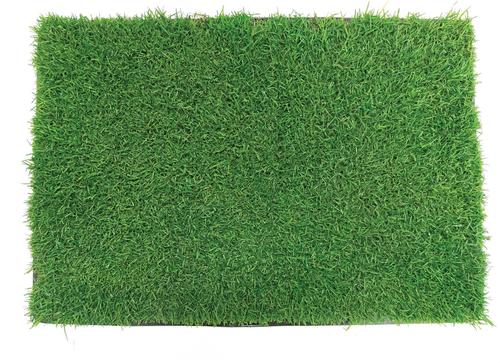 Show full view: Gotta Go Grass the Natural Relief with interlocking Tray Dog Potty Pads, 16-in x 24-in slide 2 of 8