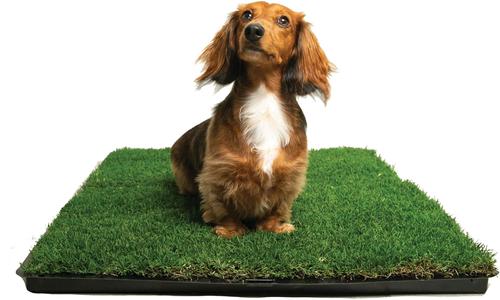 Show full view: Gotta Go Grass the Natural Relief with interlocking Tray Dog Potty Pads, 16-in x 24-in slide 5 of 8