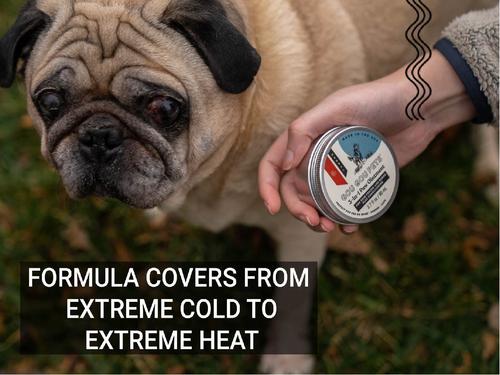 Show full view: Gou Gou Pets 3-in-1 Paw Ointment Dog & Cat Cream, 2-fl oz bottle, 1 slide 5 of 8