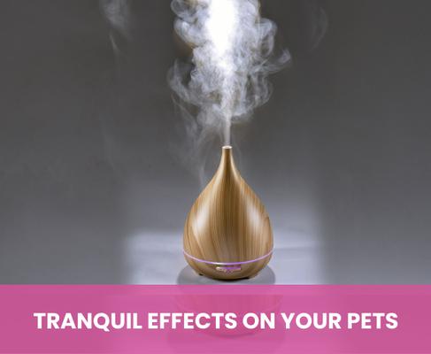 Show full view: Gou Gou Pets Calming Essential Oil Blend, 15-ml bottle slide 4 of 8