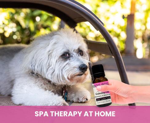 Show full view: Gou Gou Pets Calming Essential Oil Blend, 15-ml bottle slide 6 of 8