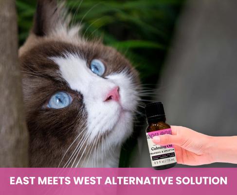 Show full view: Gou Gou Pets Calming Essential Oil Blend, 15-ml bottle slide 7 of 8