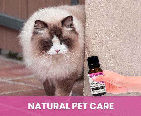 Show full view: Gou Gou Pets Calming Essential Oil Blend, 15-ml bottle slide 8 of 8