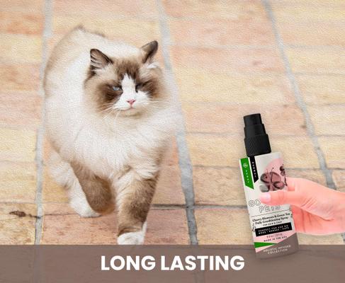 Show full view: Gou Gou Pets Cherry Blossom & Green Tea Leave In Conditioning Dog & Cat Spray, 8-fl oz bottle, 1 slide 6 of 8