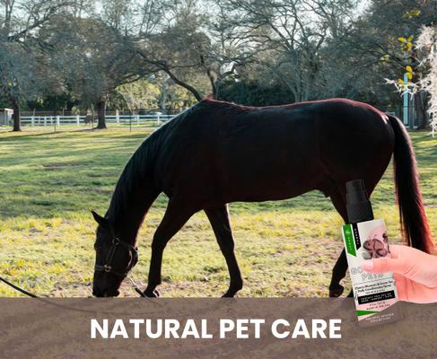 Show full view: Gou Gou Pets Cherry Blossom & Green Tea Leave In Conditioning Dog & Cat Spray, 8-fl oz bottle, 1 slide 8 of 8