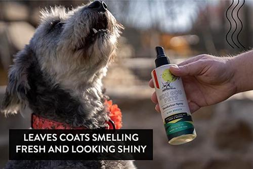 Show full view: Gou Gou Pets Deodorizer Spray for Smelly Dog & Horse Spray, 8-fl oz bottle slide 5 of 7