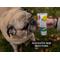 Show in main carousel: Gou Gou Pets First Aid Ointment Dog, Cat & Horse Cream, 2-fl oz bottle, 1 slide 4 of 6