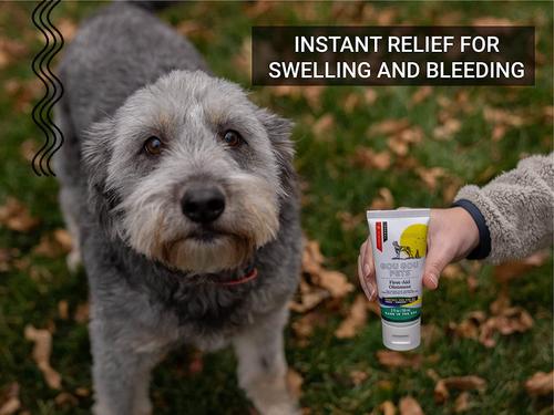 Show full view: Gou Gou Pets First Aid Ointment Dog, Cat & Horse Cream, 2-fl oz bottle, 1 slide 5 of 6