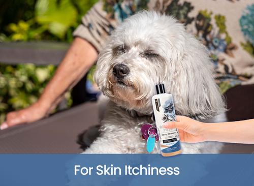 Show full view: Gou Gou Pets Holistic Natural Derived Allergy Dog & Cat Shampoo, 16-fl oz bottle, 1 slide 5 of 10