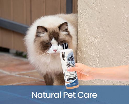 Show full view: Gou Gou Pets Holistic Natural Derived Allergy Dog & Cat Shampoo, 16-fl oz bottle, 1 slide 7 of 10
