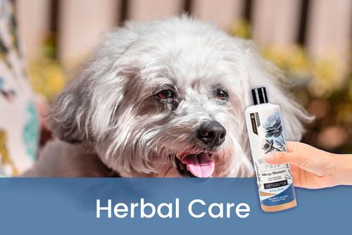 Show full view: Gou Gou Pets Holistic Natural Derived Allergy Dog & Cat Shampoo, 16-fl oz bottle, 1 slide 8 of 10