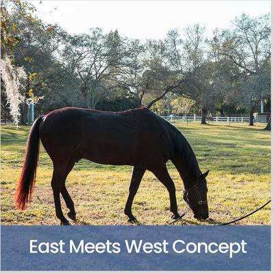 Show full view: Gou Gou Pets Holistic Natural Derived Allergy Dog & Cat Shampoo, 16-fl oz bottle, 1 slide 9 of 10