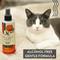 Show in main carousel: Gou Gou Pets Hot Spot Spray for Dog, Cat & Horse, 8-fl oz bottle, 1 slide 6 of 8