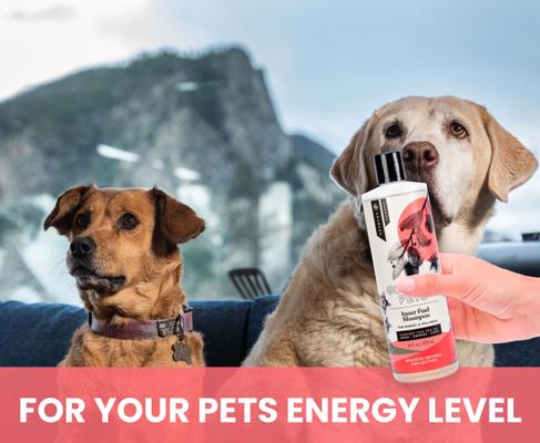 Show full view: Gou Gou Pets Inner Fuel & Energy Boosting Dog & Cat Shampoo, 16-oz bottle, 1 slide 5 of 8