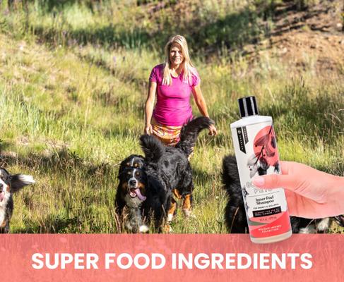 Show full view: Gou Gou Pets Inner Fuel & Energy Boosting Dog & Cat Shampoo, 16-oz bottle, 1 slide 7 of 8