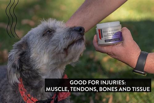 Show full view: Gou Gou Pets Joint & Bone Ointment for Injuries Dog, Cat & Horse Cream, 2-fl oz bottle slide 5 of 7
