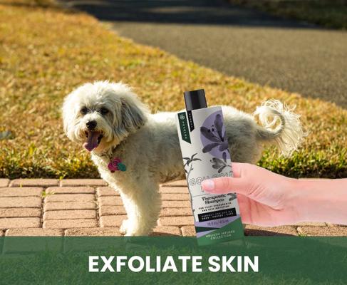 Show full view: Gou Gou Pets Therapeutic Dog, Cat & Horse Shampoo, 16-fl oz bottle, 1 slide 6 of 8