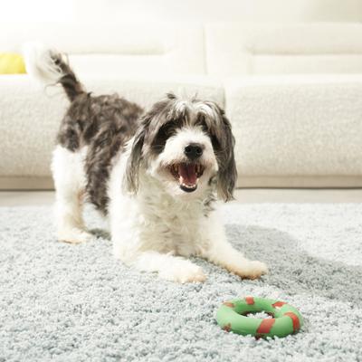 Show full view: GoughNuts Lite Bite Dog Toy, Green, 4-in slide 2 of 5