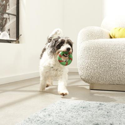 Show full view: GoughNuts Lite Bite Dog Toy, Green, 4-in slide 3 of 5