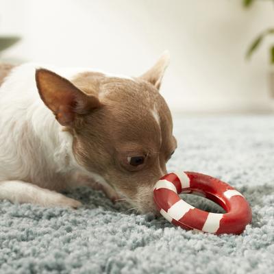 Show full view: GoughNuts Lite Bite Dog Toy, Red, 3-in slide 3 of 5
