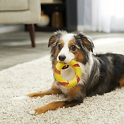 GoughNuts Lite Bite Dog Toy, Yellow, 4-in slide 2 of 3