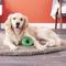 Show in main carousel: GoughNuts Ring Dog Toy, Green, Original slide 4 of 7