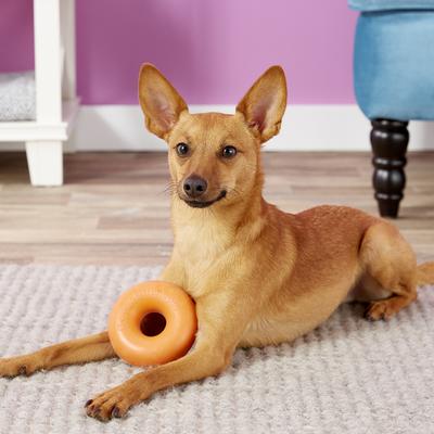 Show full view: GoughNuts Ring Dog Toy, Orange, Small slide 3 of 6