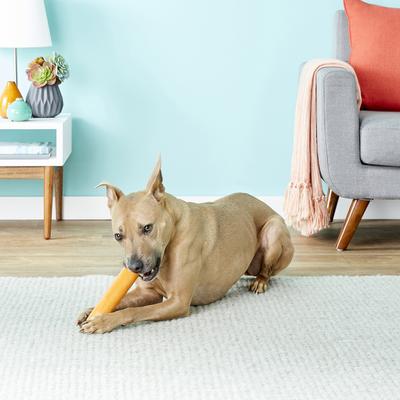 Show full view: GoughNuts Stick Dog Toy, Orange, Original slide 4 of 7