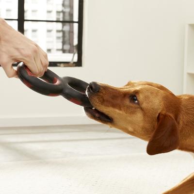 Show full view: GoughNuts Tug Dog Toy, 9-in, Black slide 2 of 6