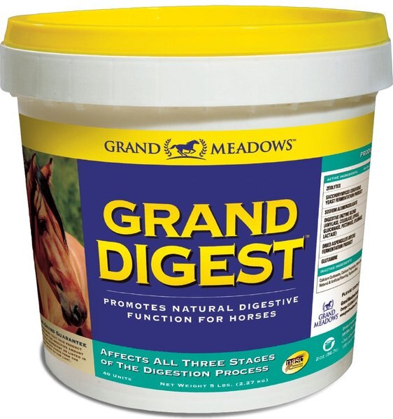 Grand Meadows Digest Horse Supplement