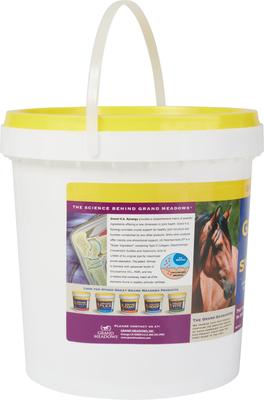 Show full view: Grand Meadows Grand H.A. Synergy Joint Support Powder Dog & Horse Supplement, 10-lb tub slide 2 of 5