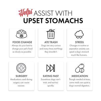 Show full view: Grandma Lucy's Simple Replacement Anti-Diarrhea Freeze-Dried Dog & Cat Meal Replacement, 7-oz bag slide 6 of 11