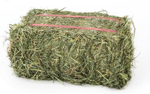 Show full view: Grandpa's Best Orchard Grass Hay Small Pet Food, 40-oz mini bale slide 3 of 8