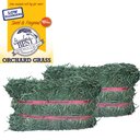 Grandpa's Best Orchard Grass Hay Small Pet Food, 5-lb mini bale, 2 count