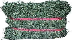 Grandpa's Best Orchard Grass Hay Small Pet Food, 5-lb mini bale, 2 count slide 2 of 6