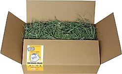 Grandpa's Best Orchard Grass Loose Boxed Hay Small Pet Food, 20-lb box