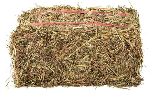 Show full view: Grandpa's Best Prairie Hay 100% Certified Organic Small Pet Food, 40-oz mini bale slide 3 of 7