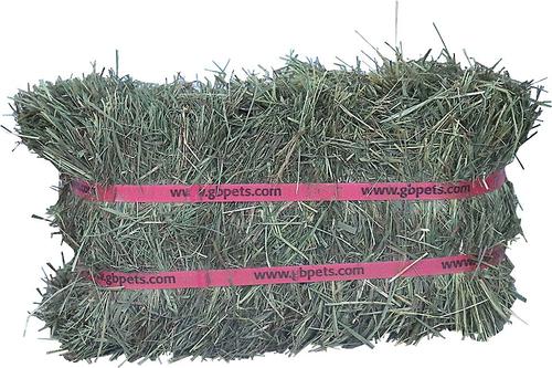 Show full view: Grandpa's Best Prairie Hay 100% Certified Organic Small Pet Food, 5-lb mini bale, 2 count slide 2 of 6