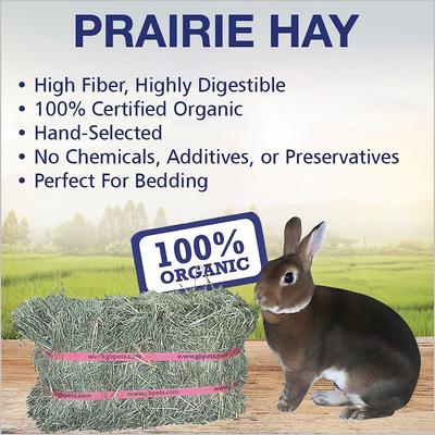 Show full view: Grandpa's Best Prairie Hay 100% Certified Organic Small Pet Food, 5-lb mini bale, 2 count slide 3 of 6