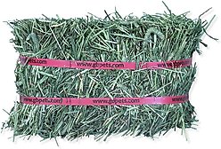 Grandpa's Best Timothy Hay Small Pet Food, 5-lb mini bale, 2 count slide 2 of 6