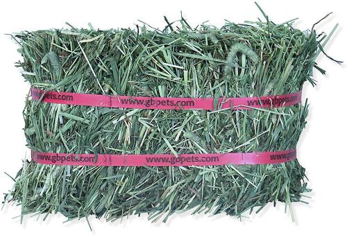 Show full view: Grandpa's Best Timothy Hay Small Pet Food, 5-lb mini bale, 2 count slide 2 of 7