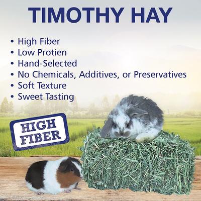 Show full view: Grandpa's Best Timothy Hay Small Pet Food, 5-lb mini bale, 2 count slide 3 of 7