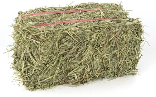 Show full view: Grandpa's Best Timothy Hay Small Pet Food, 5-lb mini bale slide 3 of 8