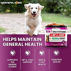 Grateful Pawz 11 in 1 Multivitamin with Glucosamine Salmon Flavored Chew Supplement for Dogs, 120 count slide 2 of 5