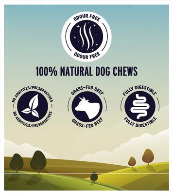 Show full view: Great Jack's Canada Made Bully Sticks Dog Treats, 5-7-in, 12 count slide 4 of 10