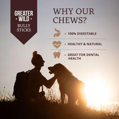 Show full view: Greater Wild 6-in Whole Bully Sticks Dog Treats, 3 count slide 4 of 11