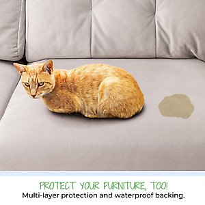 Green Lifestyle Printed Reusable Cat & Dog Pee Pads, Blue & White, 34 x 36-in, 4 count