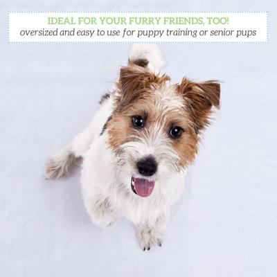 Show full view: Green Lifestyle Reusable Dog Pee Pads, 18 x 24-in, 2 count slide 5 of 7