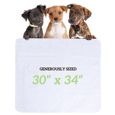 Show full view: Green Lifestyle Reusable Dog Pee Pads, 30 x 34-in, 6 count slide 5 of 6